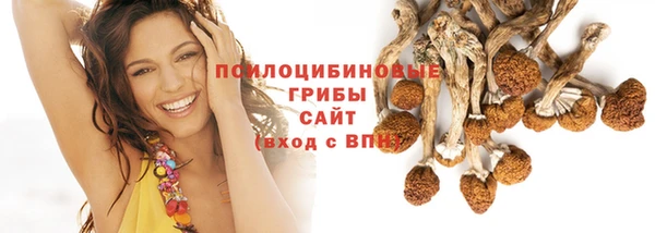 не бодяженный Аркадак