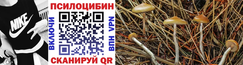 дарнет шоп  Семилуки  Псилоцибиновые грибы Magic Shrooms 